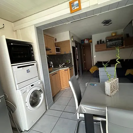 Eureka 109 - Rdc -piscine Jardin - Plages A Pied *