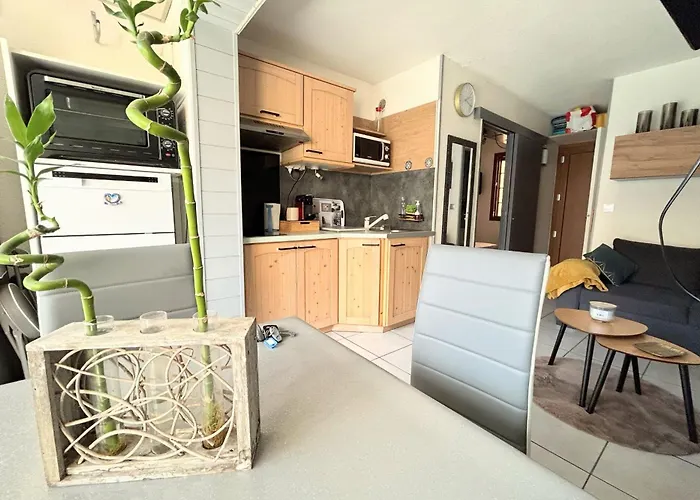 Eureka 109 - 6 People - Pool And Garden - Near Naturist Village And Beaches Lejlighed *